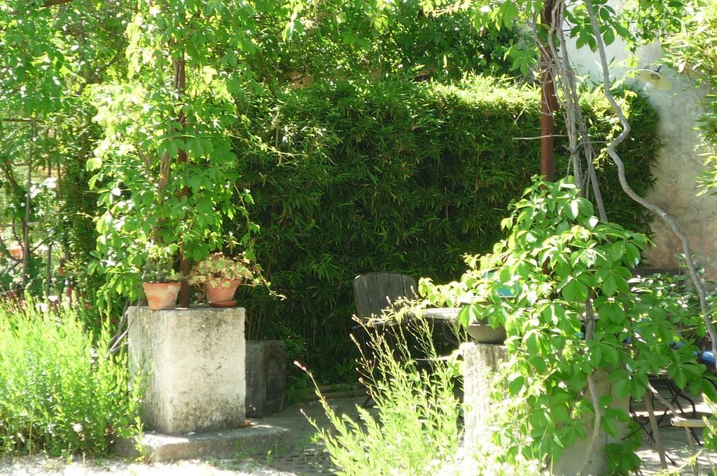 Le Mas De La Chouette Saint-Remy-de-Provence Exterior photo